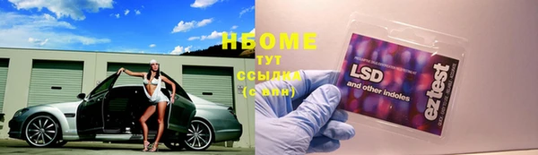 кокс Гусев