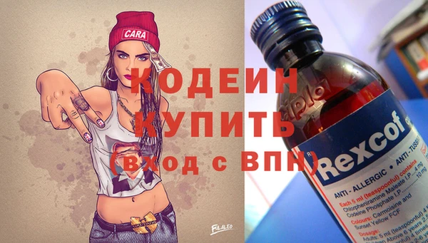 кокс Гусев