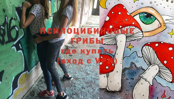 соль ск Горнозаводск