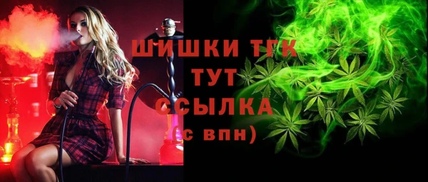 соль ск Горнозаводск