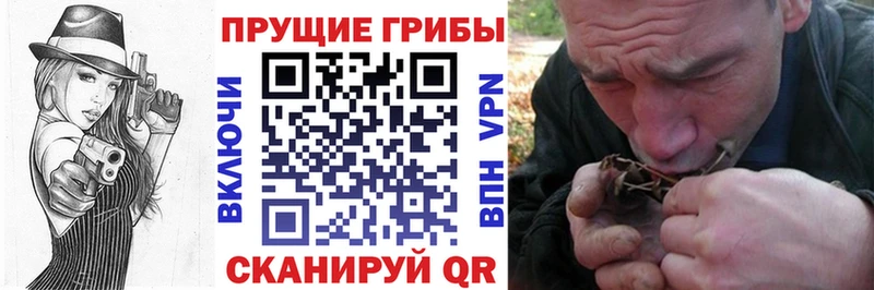 Галлюциногенные грибы мухоморы Ленинск-Кузнецкий